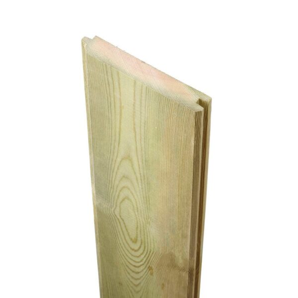 19x100_PTGV_Treated_Timber_Cladding_Dorchester_Weymouth_Bridport.1